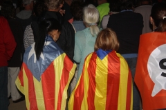 Concentració 20 S